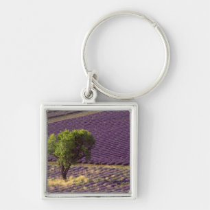 Lavender field in High Provence, France Keychain
