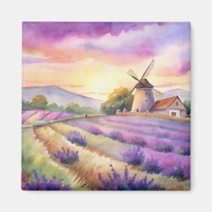 Lavender field in Provence. Magnet