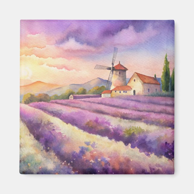 Lavender field in Provence.  Magnet (Front)