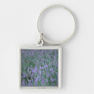 Lavender Field Keychain
