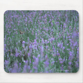 Lavender Field Mouse Pad
