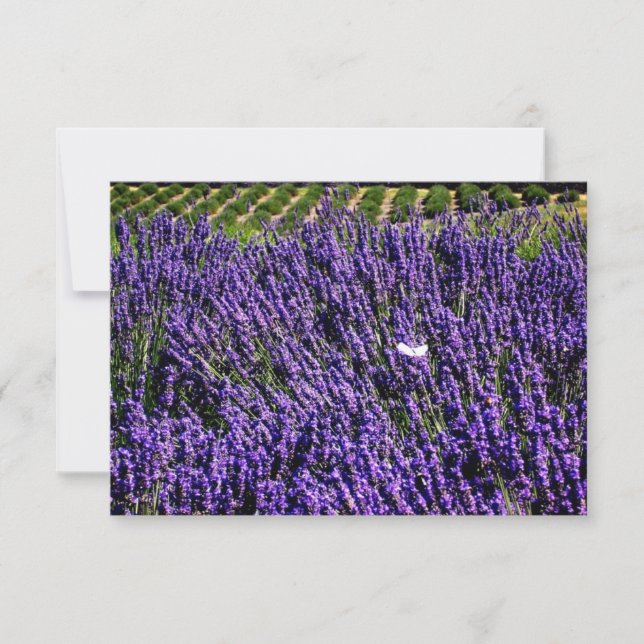 Lavender Field Personalized Blank Notecard (Front)