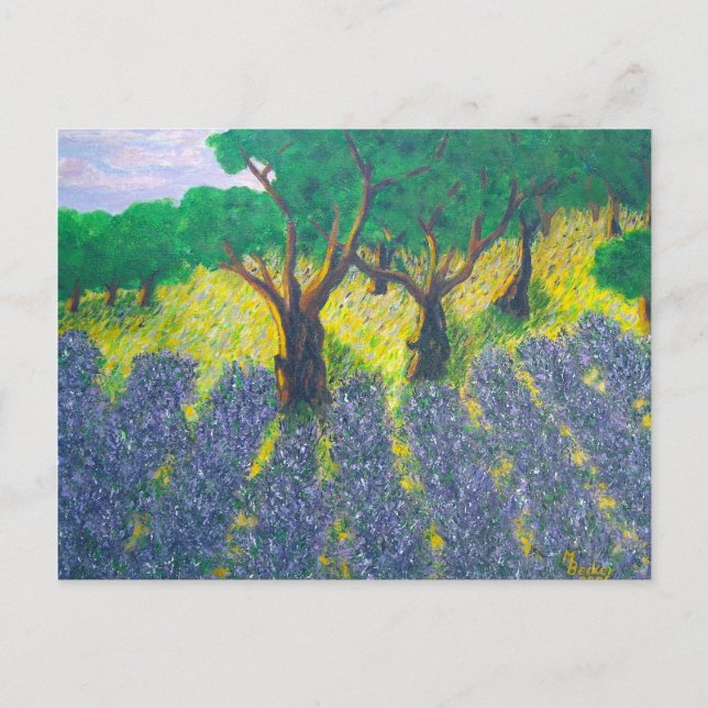 Lavender Field Postcard (Front)