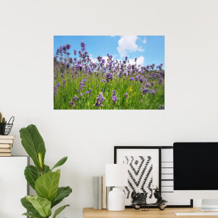 Lavender field poster