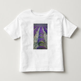Lavender field, Provence, France Toddler T-shirt
