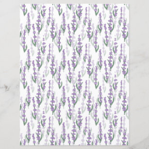 Lavender field provence purple flower