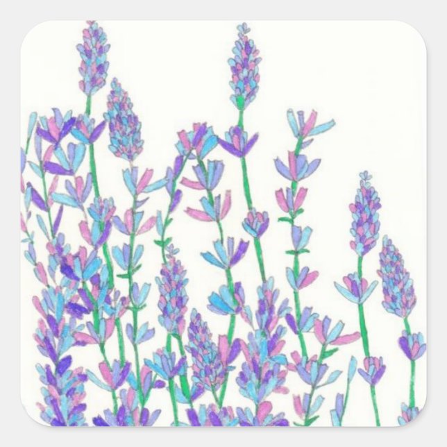 Lavender Field Stickers (Front)