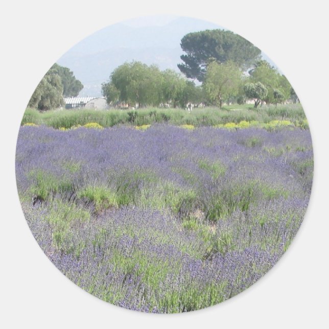 Lavender Fields Classic Round Sticker (Front)