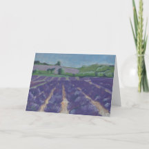 Lavender Fields in Provence - France -