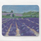 Lavender Fields in Provence - France