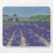Lavender Fields in Provence - France