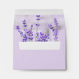 Lavender Fields Wedding Note Card Envelope
