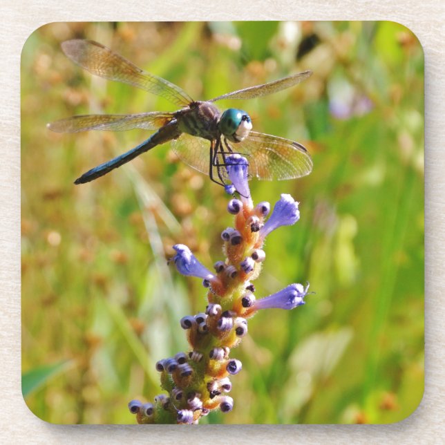 Lavender flower dragonfly coaster (Front)