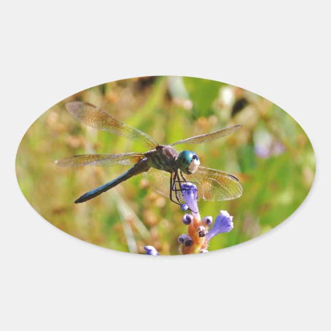 Lavender flower dragonfly oval sticker (Front)