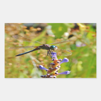 Lavender flower dragonfly sticker