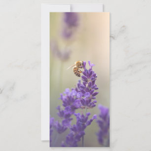 Lavender Flower Honeybee Nature Photo Card