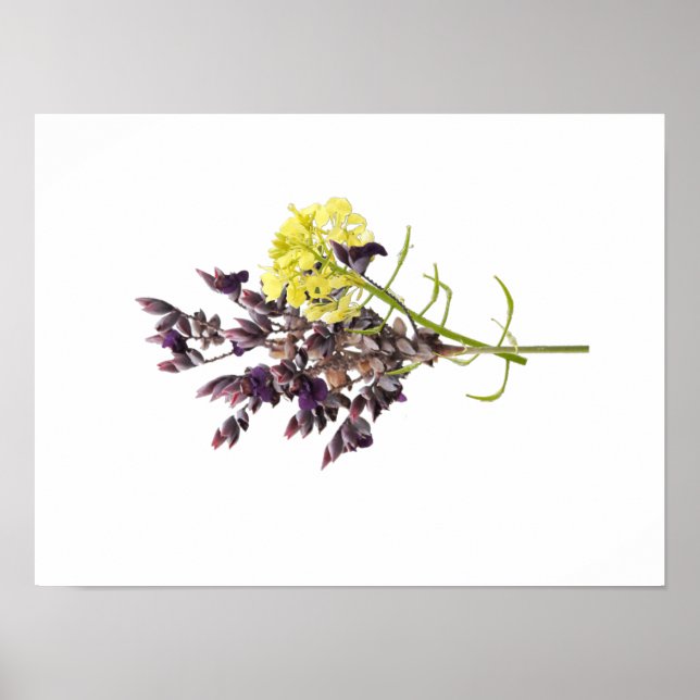 Lavender Flower Poster (Front)