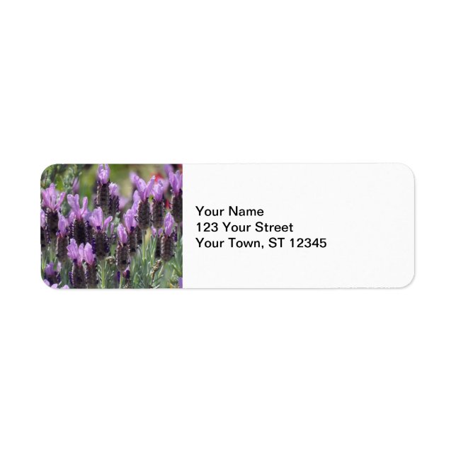 Lavender Flowers (Front)