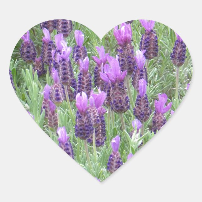 Lavender Flowers Heart Sticker (Front)