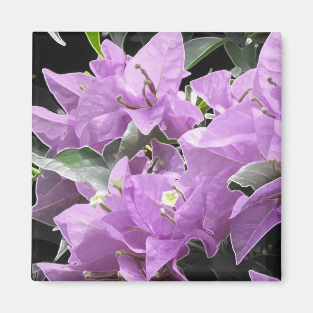 Lavender Flowers Magnet (Front)