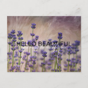 Lavender Flowers Personalized Postcard
