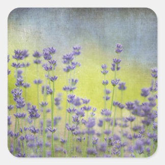 Lavender Flowers Square Sticker