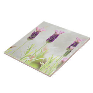 Lavender Flowers Tile