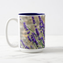 Lavender flowers 