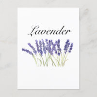 Lavender flowers watercolor herbs purple chic