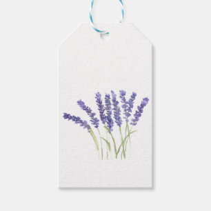 Lavender flowers watercolor rustic herbs  gift tags
