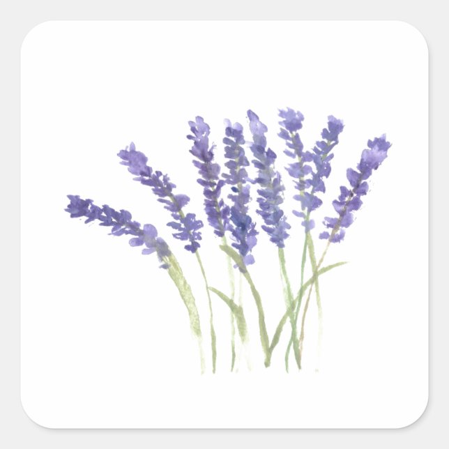 Lavender flowers watercolor rustic herbs square st square sticker (Front)