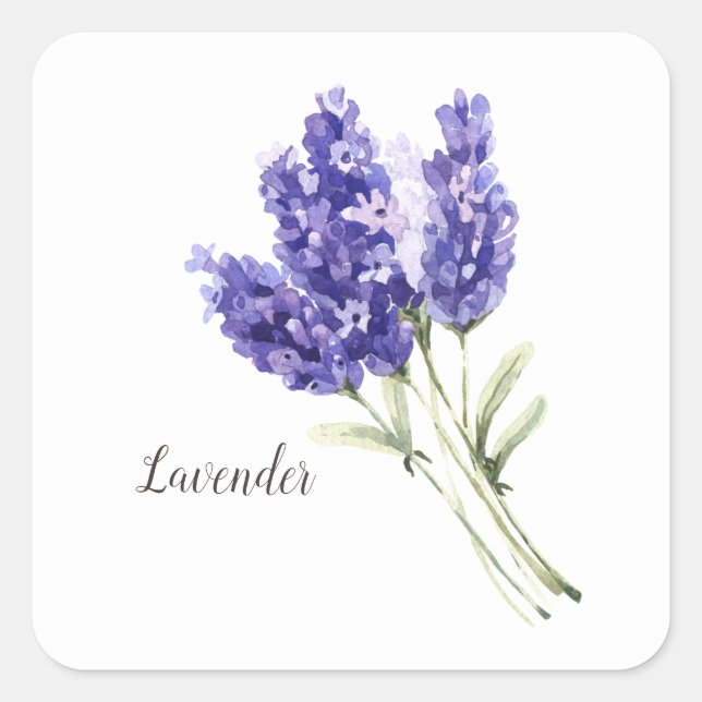 Lavender Flowers Watercolor Square Sticker (Front)
