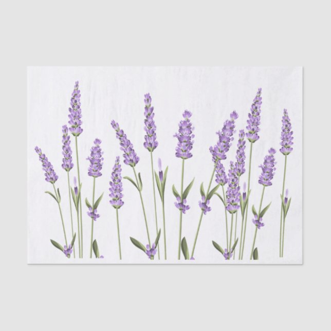 Lavender Flowers Wrapping  Tissue Paper (Front)