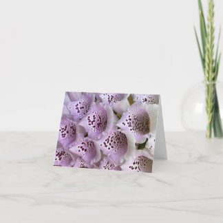 Lavender Foxgloves Thank You Card
