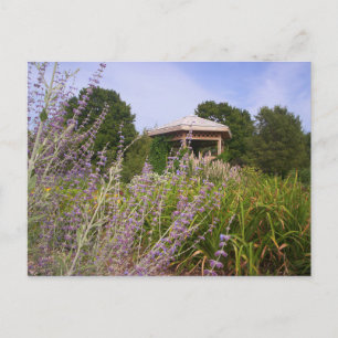 Lavender Garden Gazebo, Mark Edward Westerfield Postcard