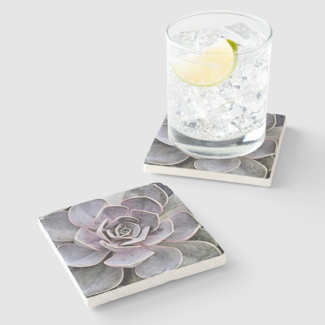 Lavender-grey coloured Echeveria plant (succulent) Stone Coaster (Side)