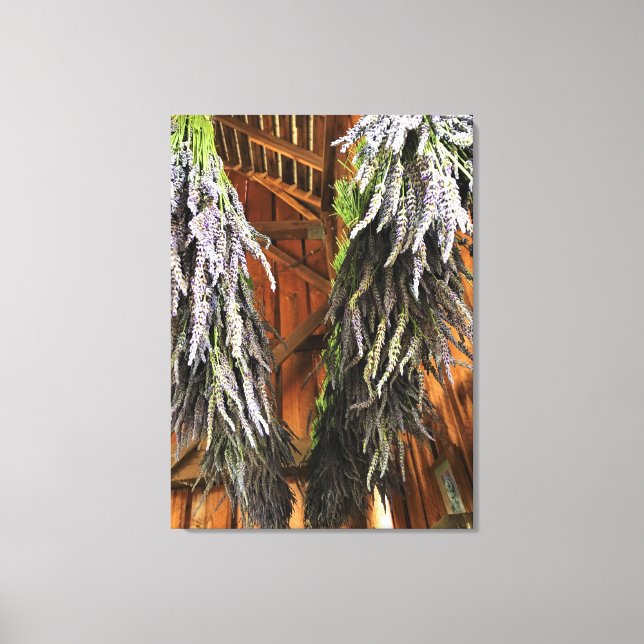 Lavender Hanging in a Barn Canvas Print (Front)