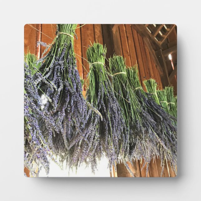Lavender Hanging in a Barn Plaque (Front)