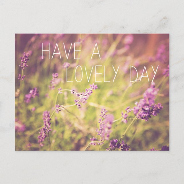 Lavender, Have A Lovely Day Postcard (Front)