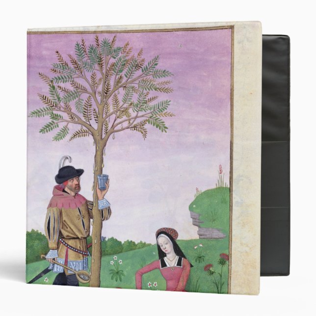 Lavender, Hellebore, & relative of Cucumber Binder (Front/Inside)