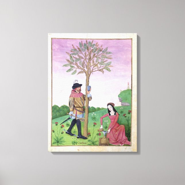Lavender, Hellebore, & relative of Cucumber Canvas Print (Front)