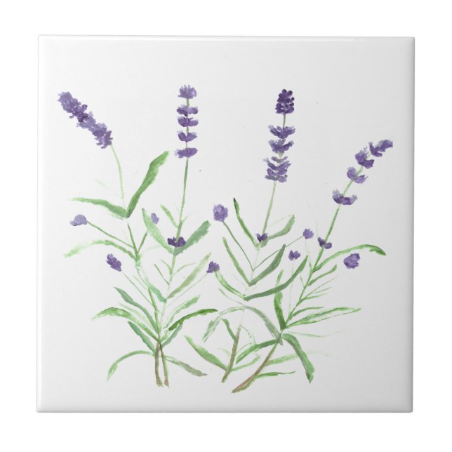 Lavender herb botanical flowers purple watercolor tile (Front)