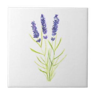 Lavender herb plant Purple floral Greenery  Tile