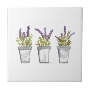 Lavender herb pot plant  tile