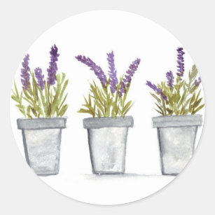 Lavender herb pots watercolor flowers purple chic classic round sticker