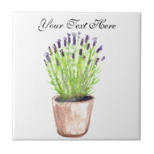 Lavender herbe pot plante aquarelle carreaux de cu