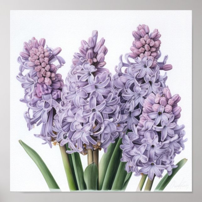 Lavender Hyacinth Flower Art Print Poster (Front)