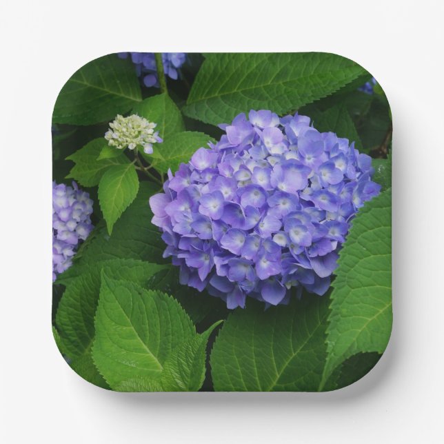 Lavender Hydrangea Paper Plate (Front)