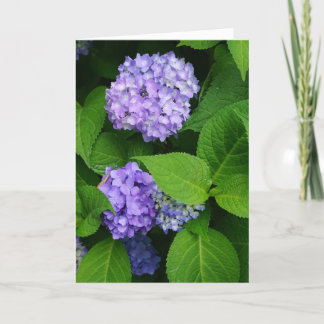 Lavender Hydrangea Thank You Card