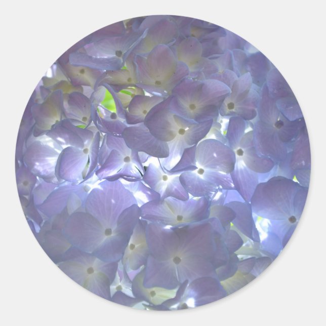 Lavender Hydrangeas purple flowers  Classic Round Sticker (Front)